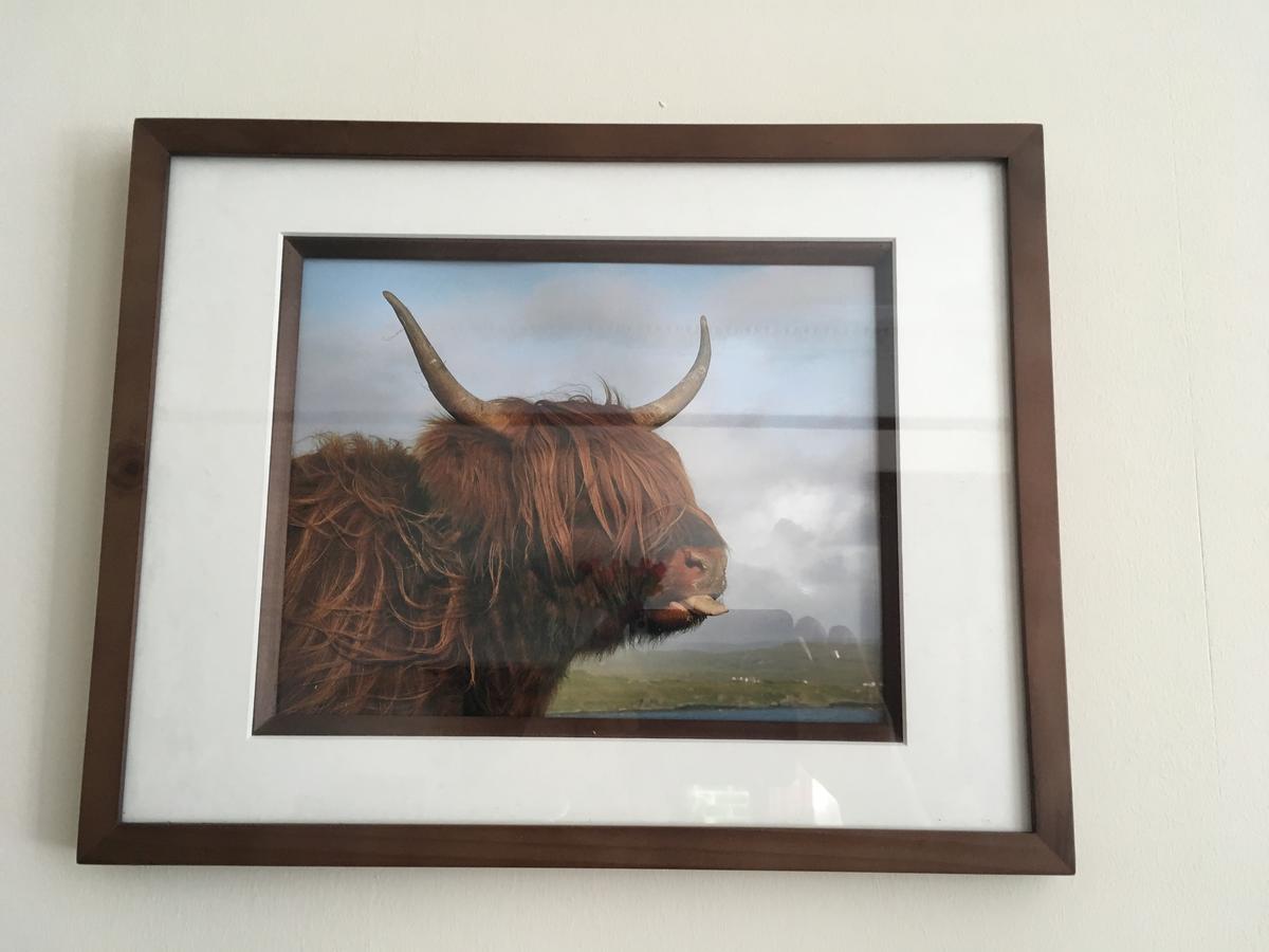 Kinnoch Lodge Inverness Eksteriør bilde
